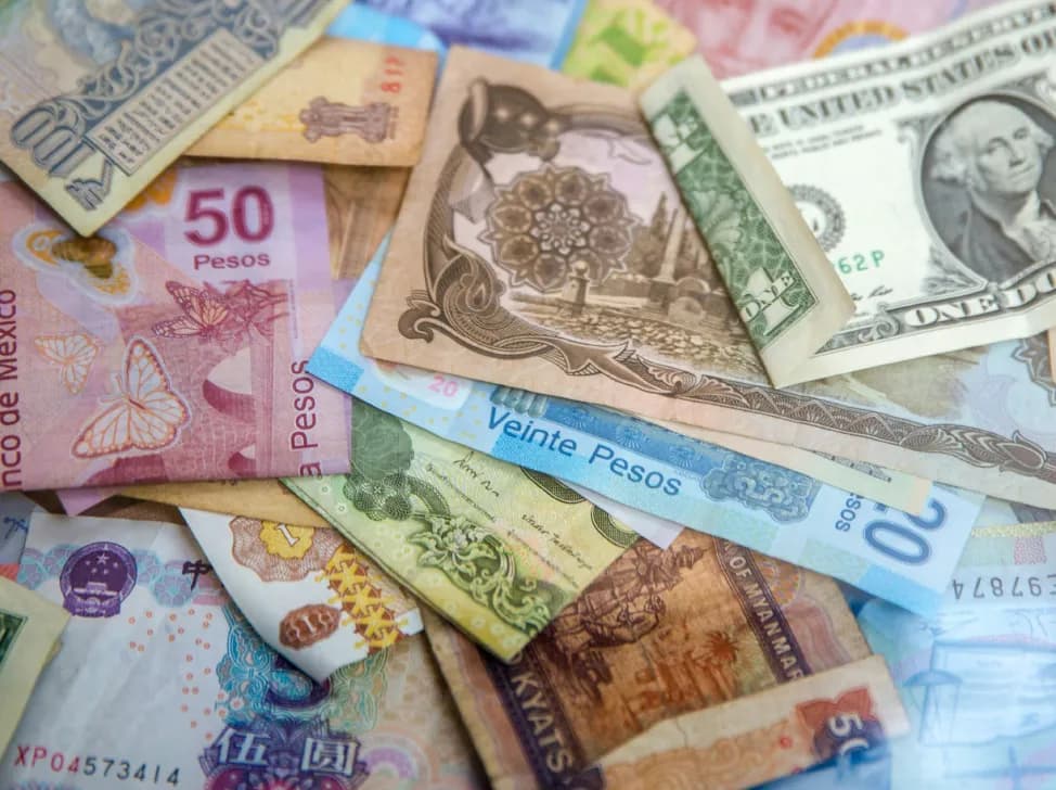 Blog 487x364 exotika.webp